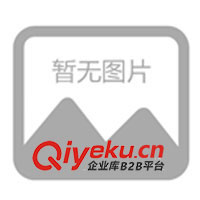 09年春夏休閑情侶裝，運動時尚裝，征全國各地批發(fā)商